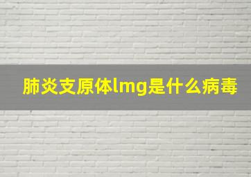 肺炎支原体lmg是什么病毒