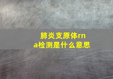 肺炎支原体rna检测是什么意思