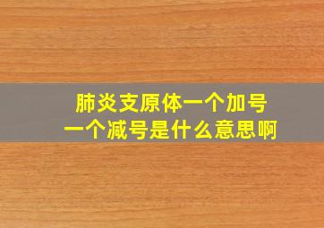 肺炎支原体一个加号一个减号是什么意思啊