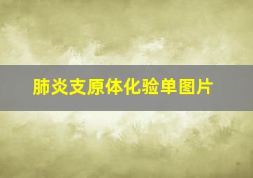 肺炎支原体化验单图片