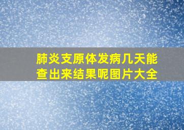 肺炎支原体发病几天能查出来结果呢图片大全