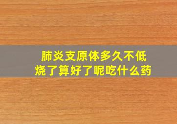 肺炎支原体多久不低烧了算好了呢吃什么药