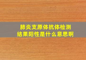 肺炎支原体抗体检测结果阳性是什么意思啊