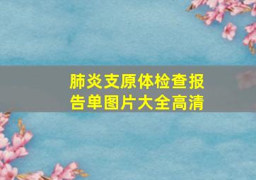 肺炎支原体检查报告单图片大全高清