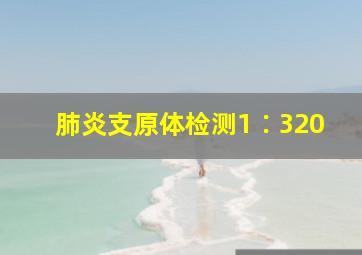 肺炎支原体检测1∶320