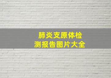 肺炎支原体检测报告图片大全