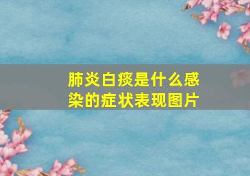 肺炎白痰是什么感染的症状表现图片