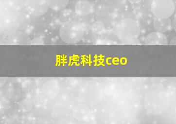 胖虎科技ceo