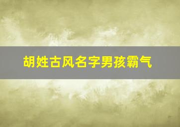 胡姓古风名字男孩霸气