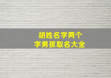 胡姓名字两个字男孩取名大全