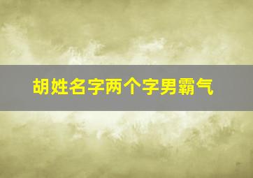 胡姓名字两个字男霸气