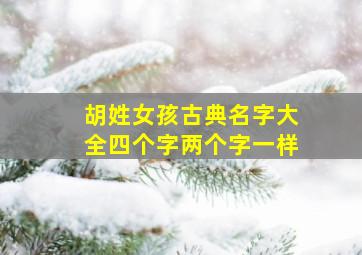 胡姓女孩古典名字大全四个字两个字一样