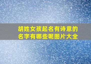 胡姓女孩起名有诗意的名字有哪些呢图片大全