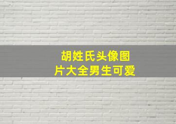 胡姓氏头像图片大全男生可爱