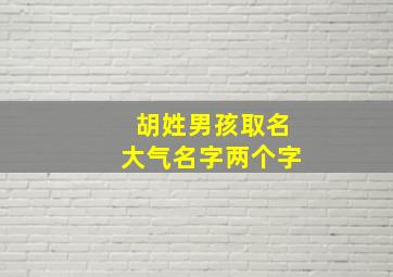 胡姓男孩取名大气名字两个字