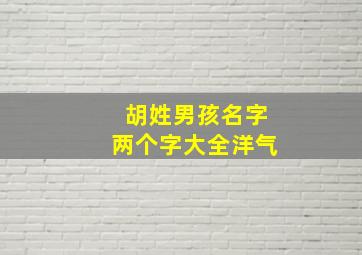 胡姓男孩名字两个字大全洋气