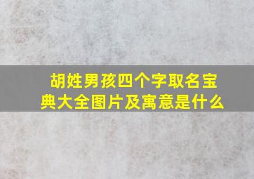 胡姓男孩四个字取名宝典大全图片及寓意是什么