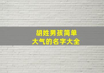 胡姓男孩简单大气的名字大全