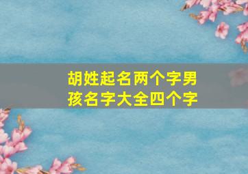 胡姓起名两个字男孩名字大全四个字