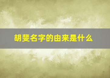 胡斐名字的由来是什么