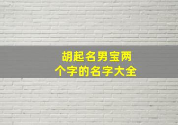 胡起名男宝两个字的名字大全