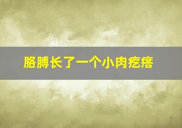 胳膊长了一个小肉疙瘩