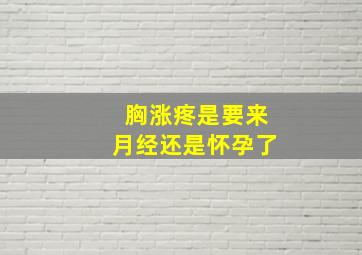 胸涨疼是要来月经还是怀孕了