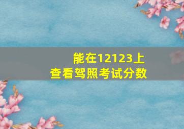 能在12123上查看驾照考试分数