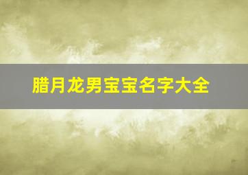 腊月龙男宝宝名字大全