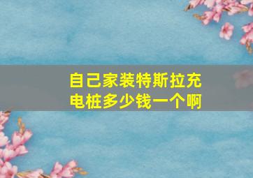 自己家装特斯拉充电桩多少钱一个啊