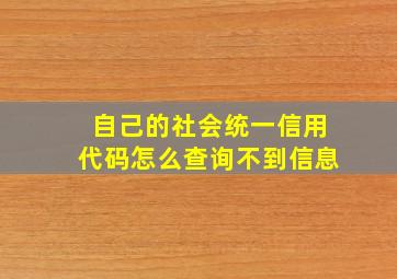 自己的社会统一信用代码怎么查询不到信息