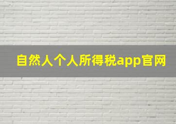 自然人个人所得税app官网