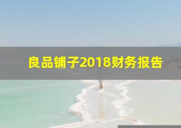 良品铺子2018财务报告