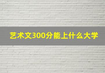 艺术文300分能上什么大学