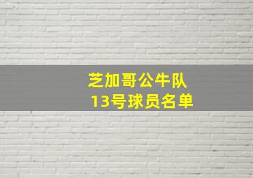 芝加哥公牛队13号球员名单