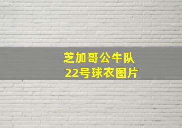 芝加哥公牛队22号球衣图片