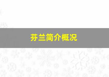 芬兰简介概况