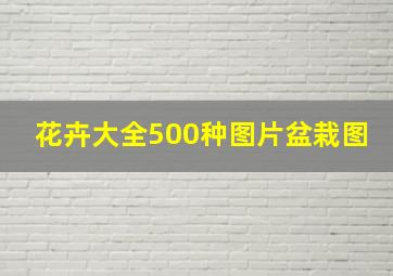 花卉大全500种图片盆栽图