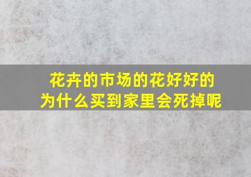 花卉的市场的花好好的为什么买到家里会死掉呢