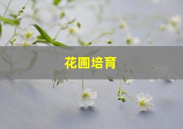 花圃培育