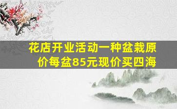 花店开业活动一种盆栽原价每盆85元现价买四海