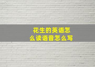 花生的英语怎么读语音怎么写