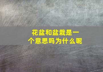 花盆和盆栽是一个意思吗为什么呢