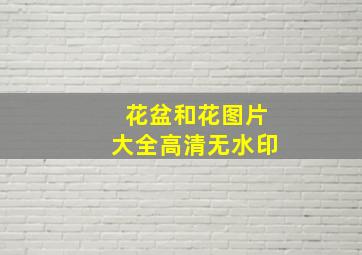 花盆和花图片大全高清无水印