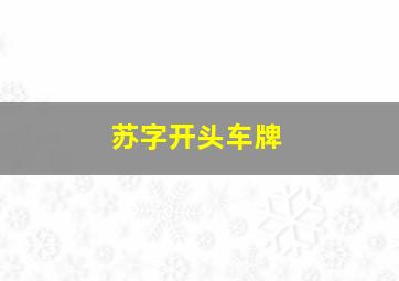 苏字开头车牌