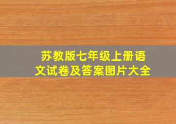 苏教版七年级上册语文试卷及答案图片大全