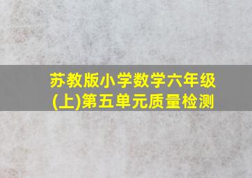 苏教版小学数学六年级(上)第五单元质量检测