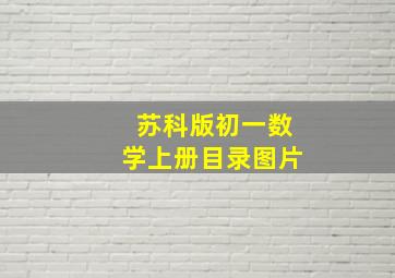 苏科版初一数学上册目录图片