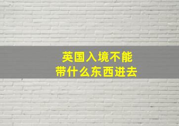 英国入境不能带什么东西进去