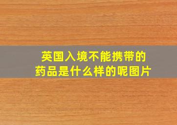 英国入境不能携带的药品是什么样的呢图片